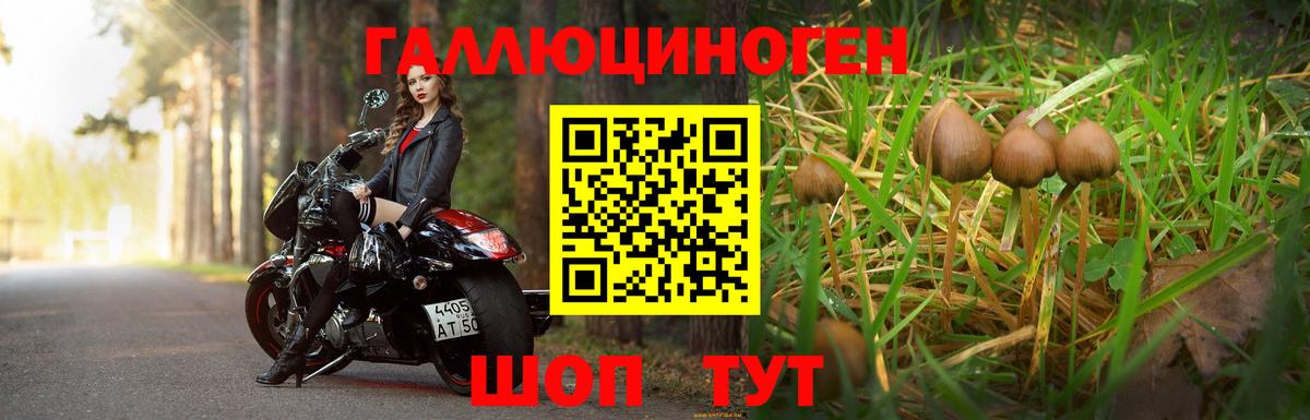 Псилоцибиновые грибы Psilocybine cubensis  Вход с VPN  Воронеж  Псилоцибиновые грибы MAGIC MUSHROOMS 